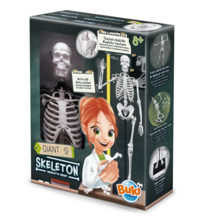 Buki Esqueleto Articulado 45 cm